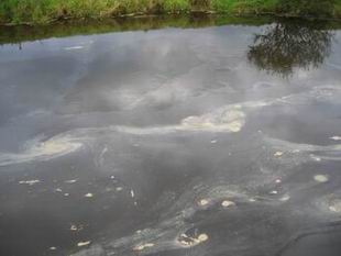 oil spill