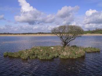 Carnadoe Island