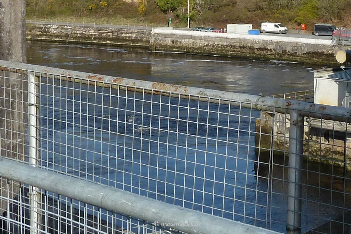 Current at Ardnacrusha