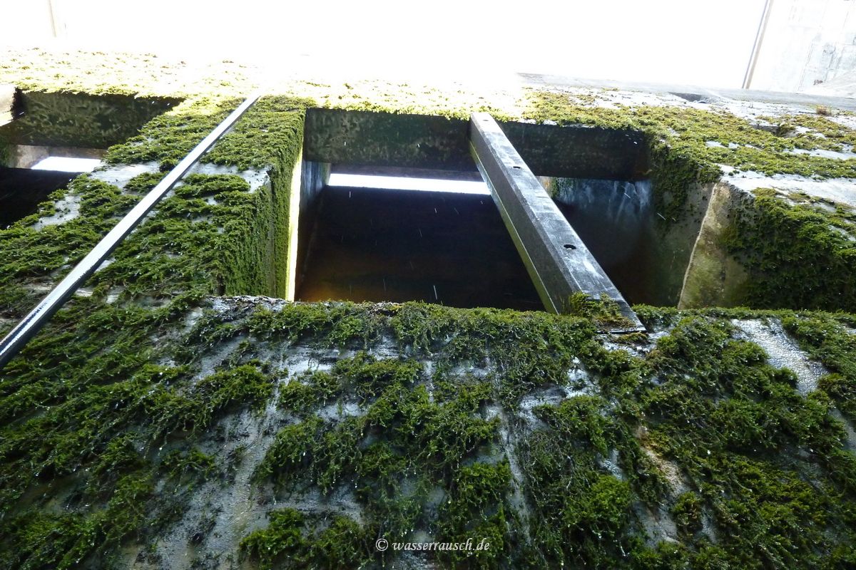 Ardnacrusha, in the lower chamber