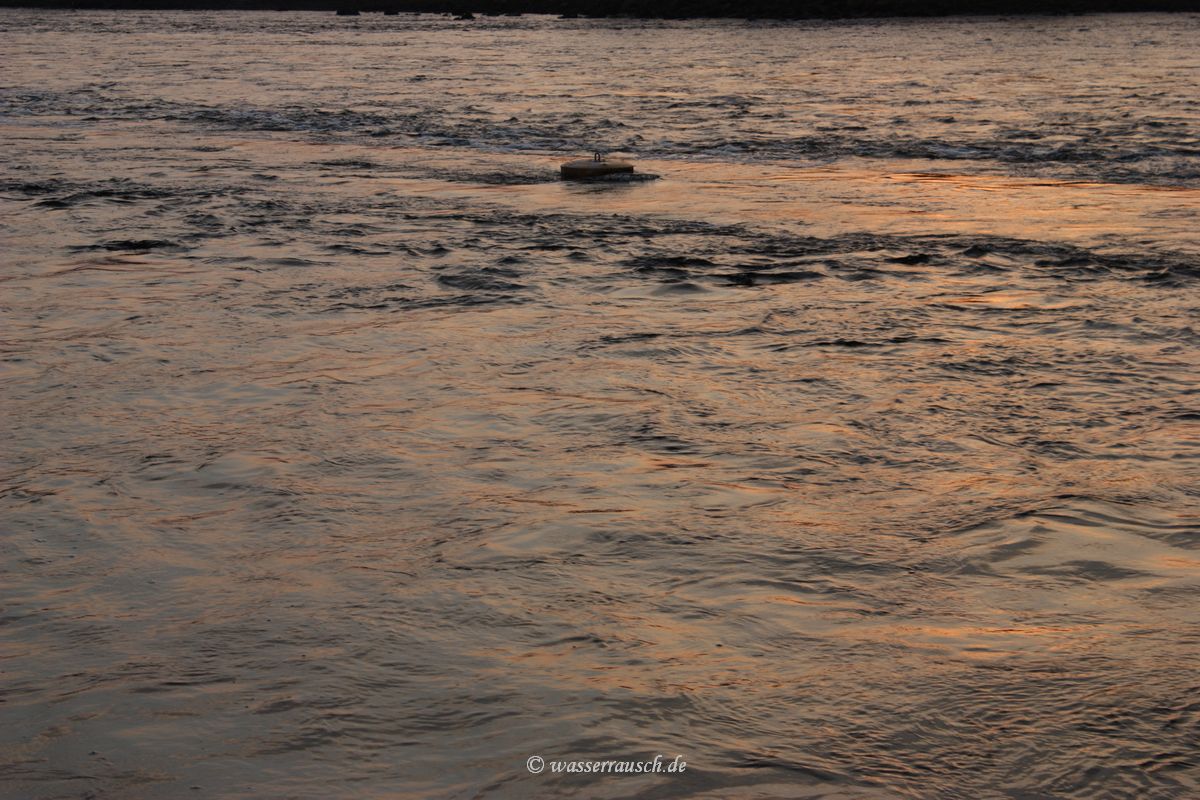 Current in evening light, Limerick