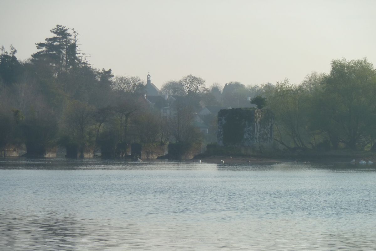 Corbally, Lax Weir