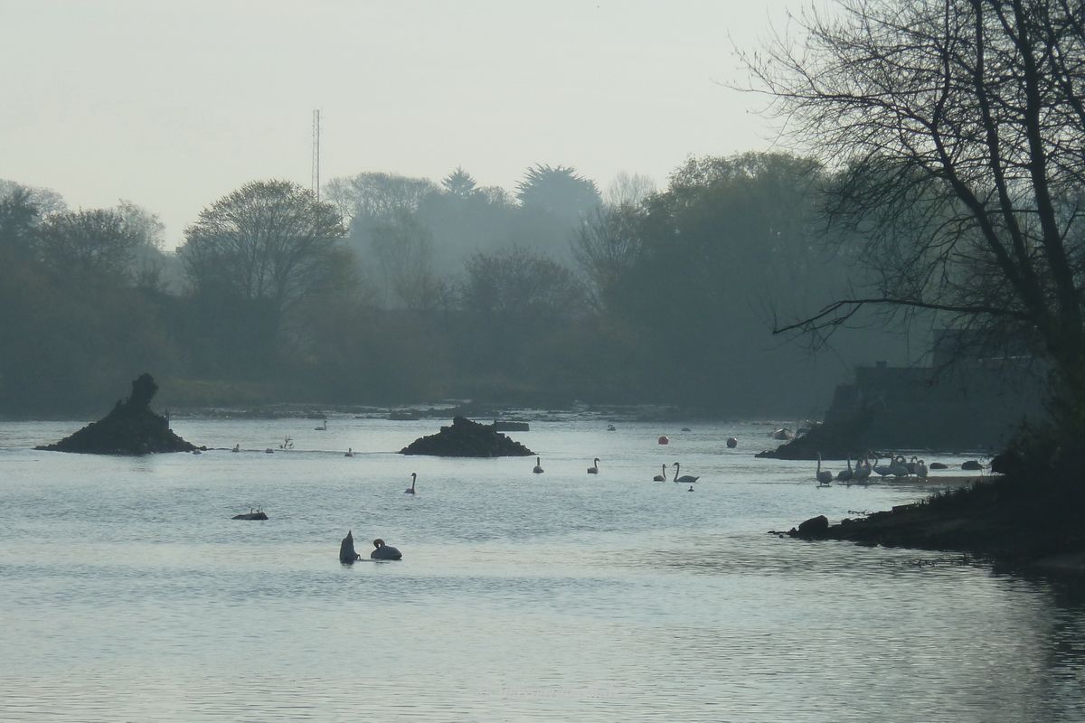 Corbally, Lax Weir