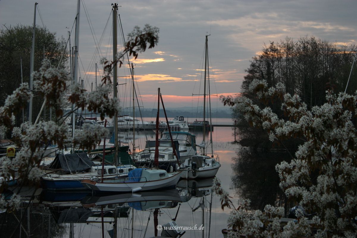 Morning light at Garrykennedy in spring