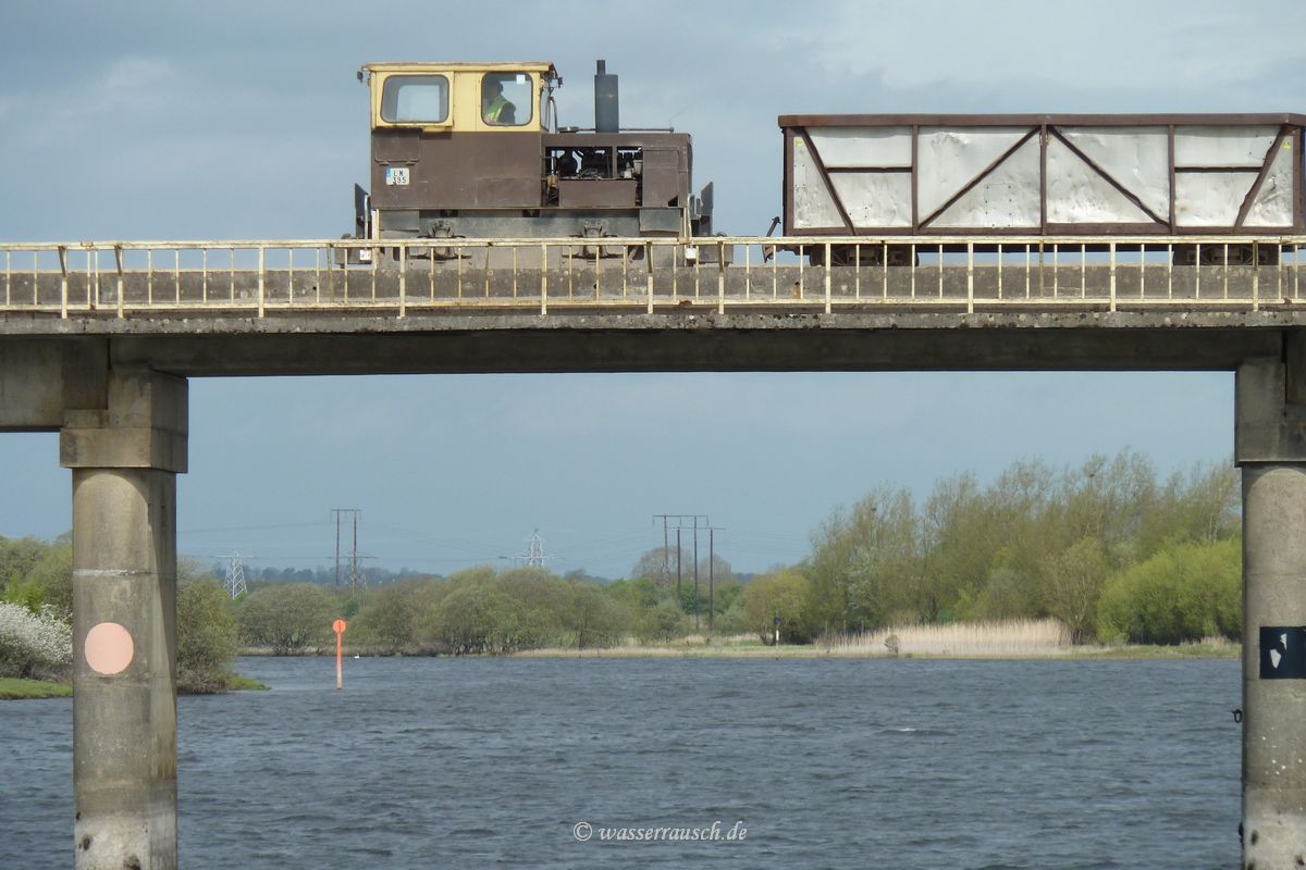 Bog train