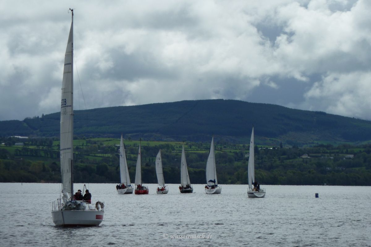 Sailing regatta