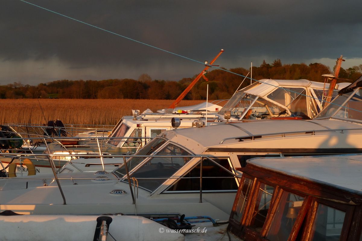 Fleet in evening light