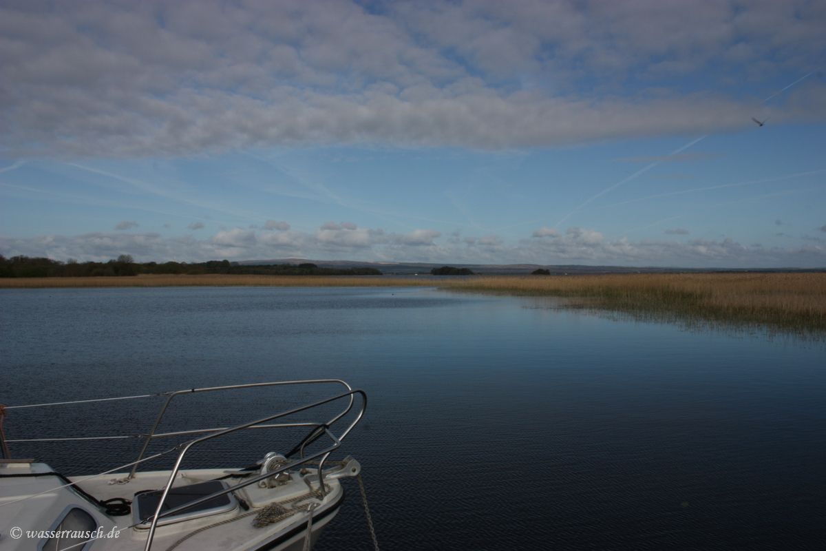 Quiet morning