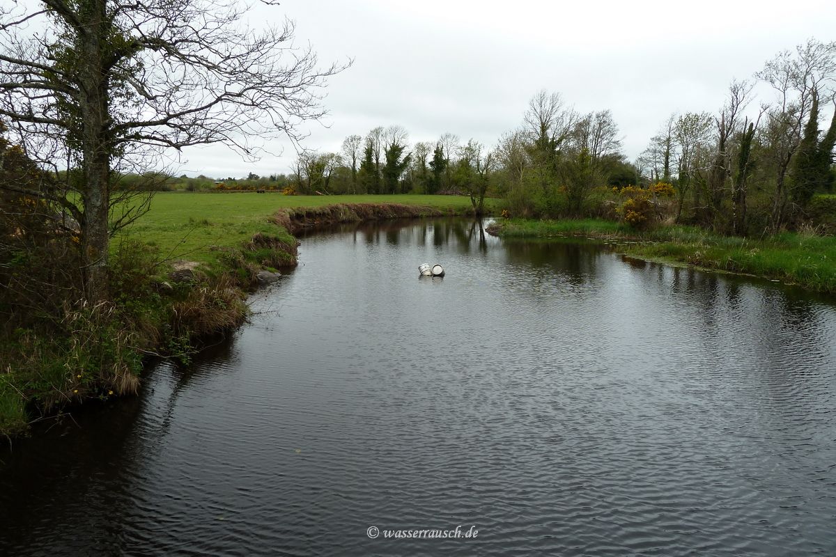 Barrels on the Woodford River