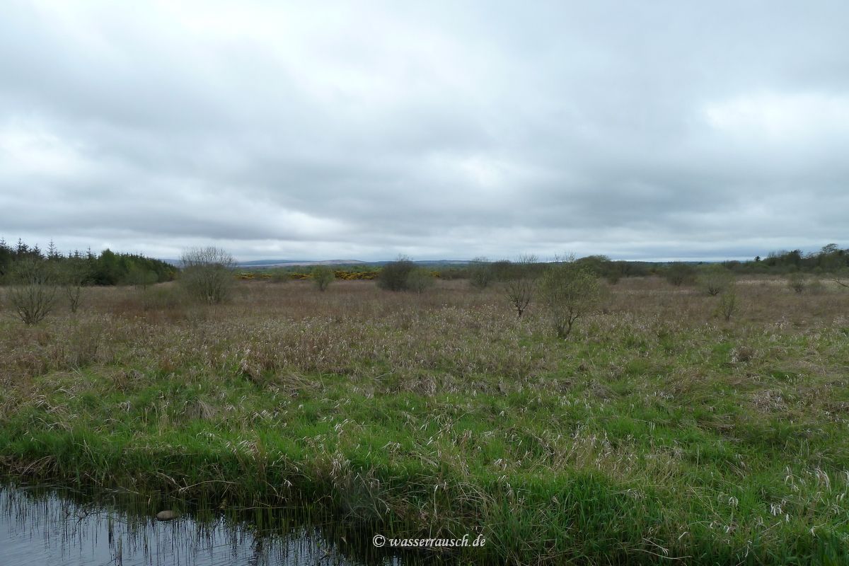 Woodford River