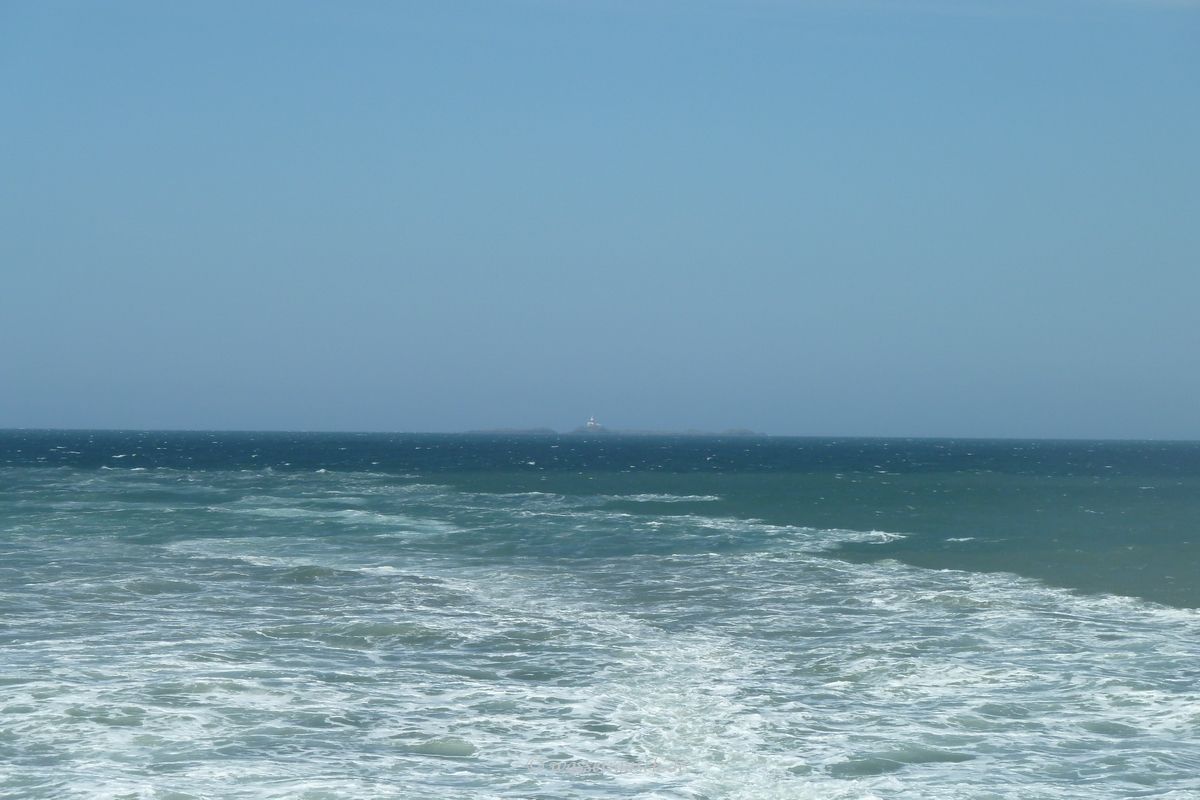 Waves and wake
