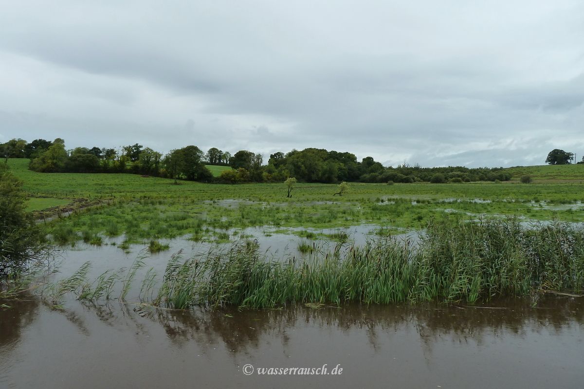 Woodford River