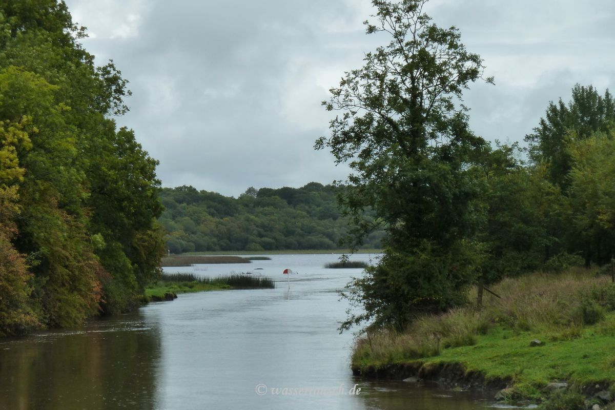 Mouth of Woodford River