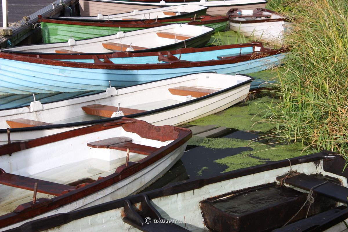 Rowing boats