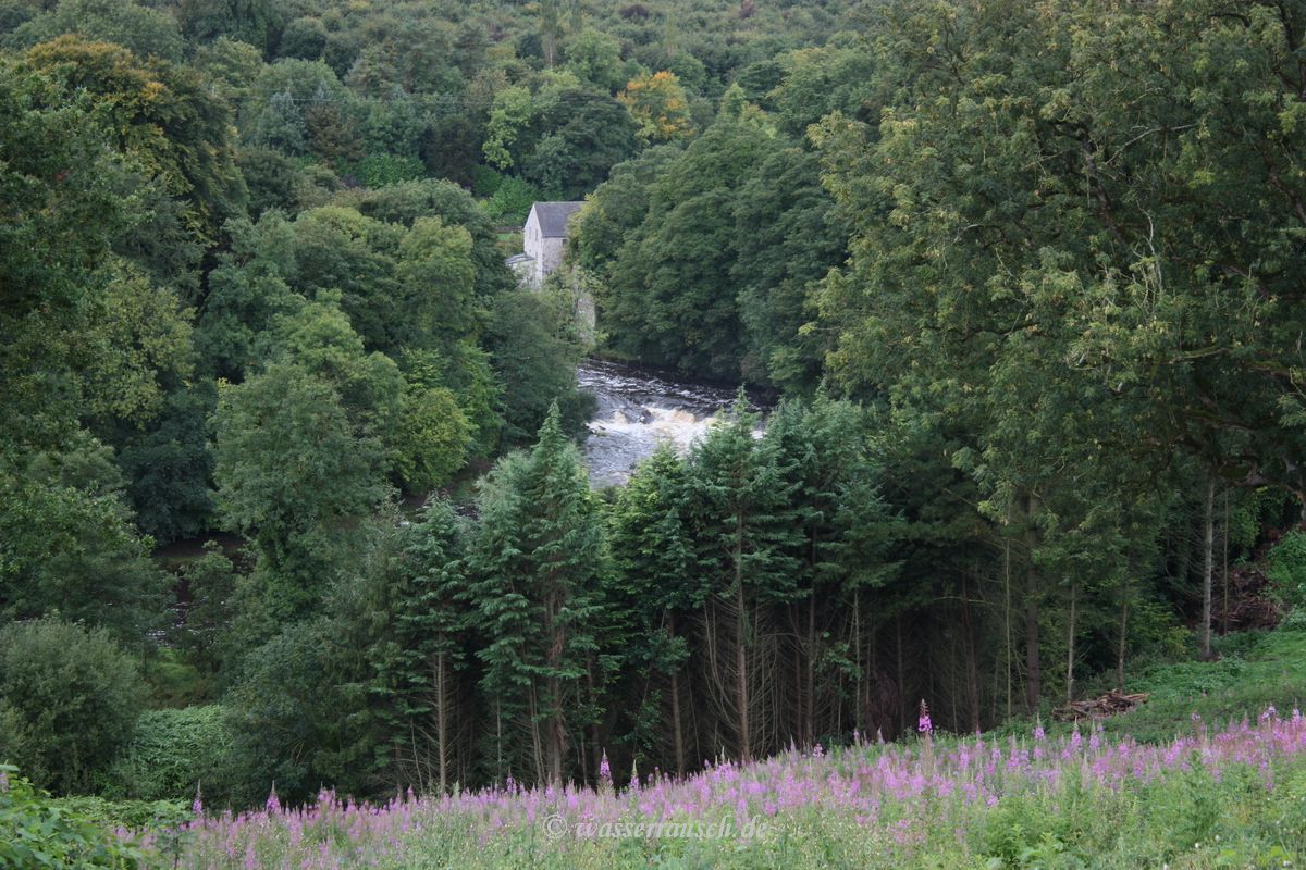 Blackwater valley at Benburb