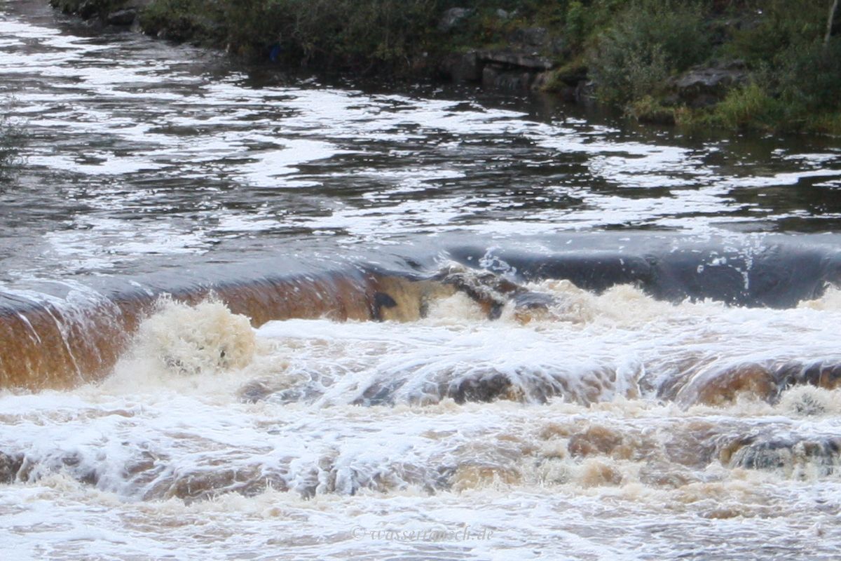 Weir Blackwater River
