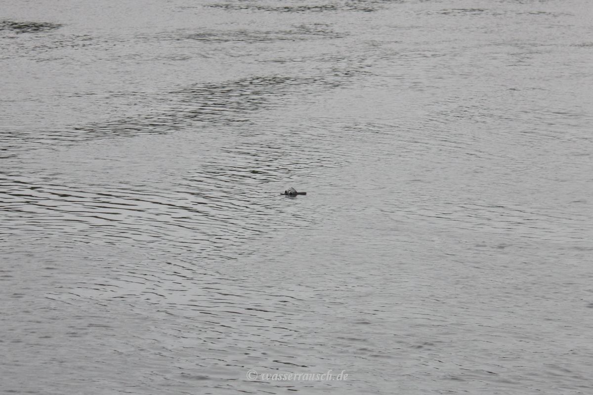 Floating slipper