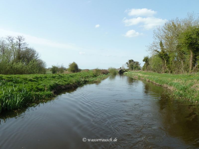 Levitstown cut