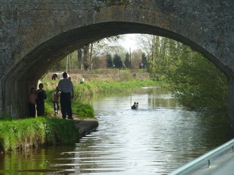 Levitstown cut