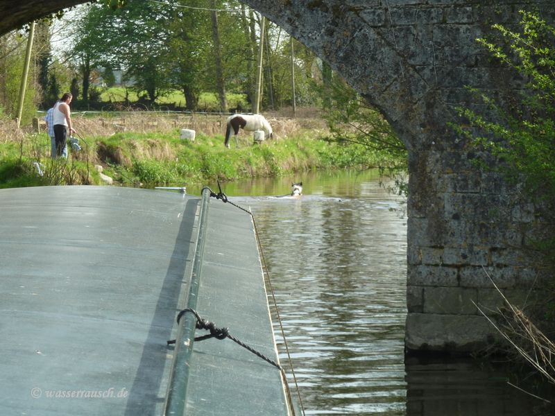Levitstown cut
