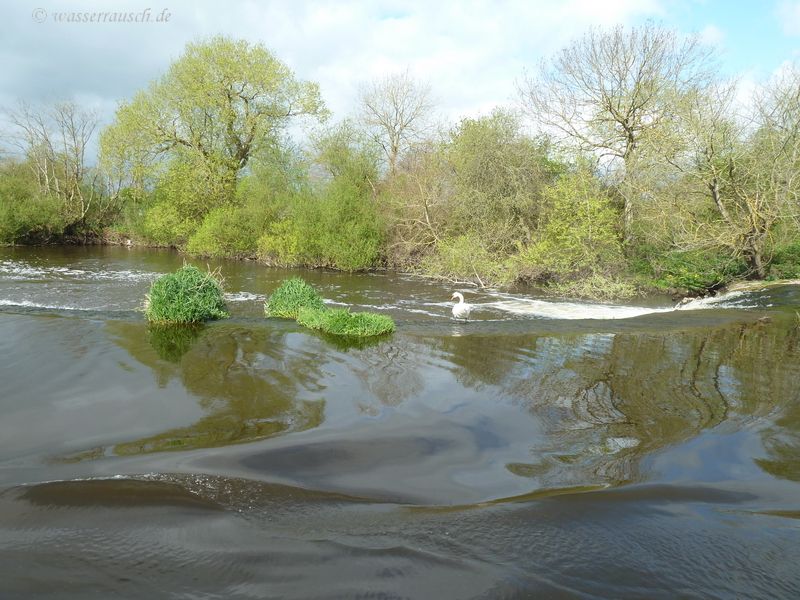 Maganey weir