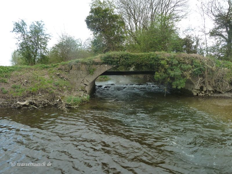 River Grease