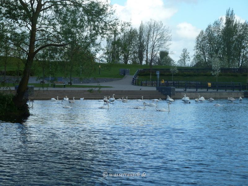 Silted entrance jetty Carlow