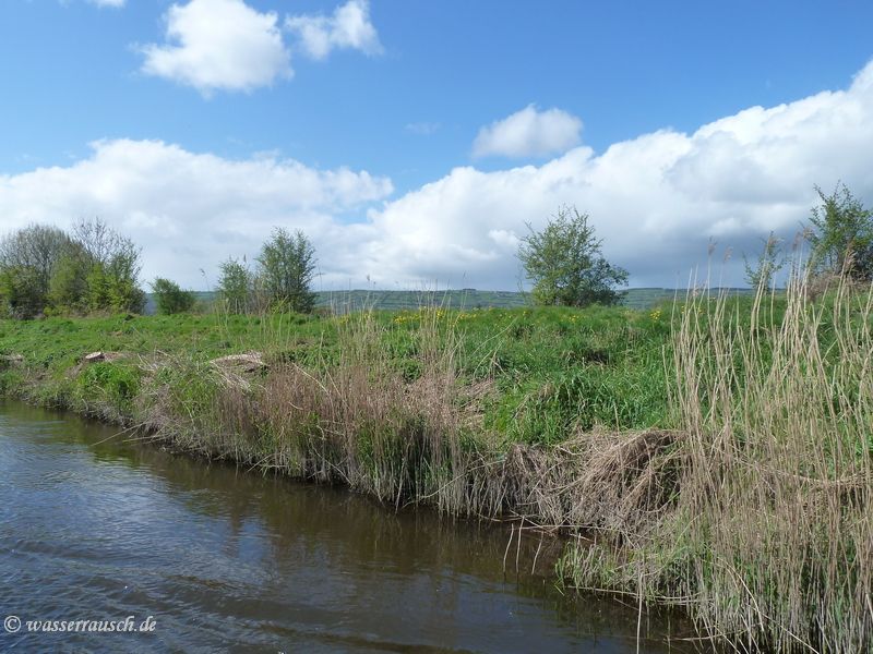 Barrow below Carlow