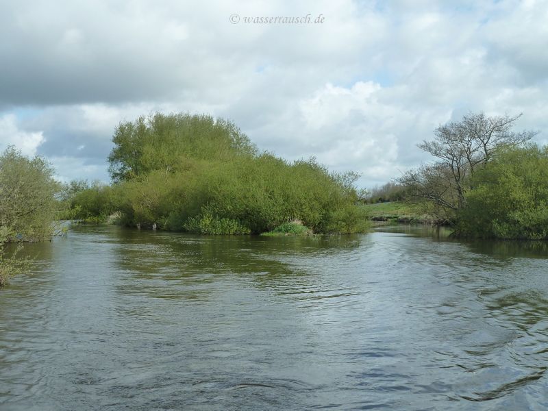 Orchard Island