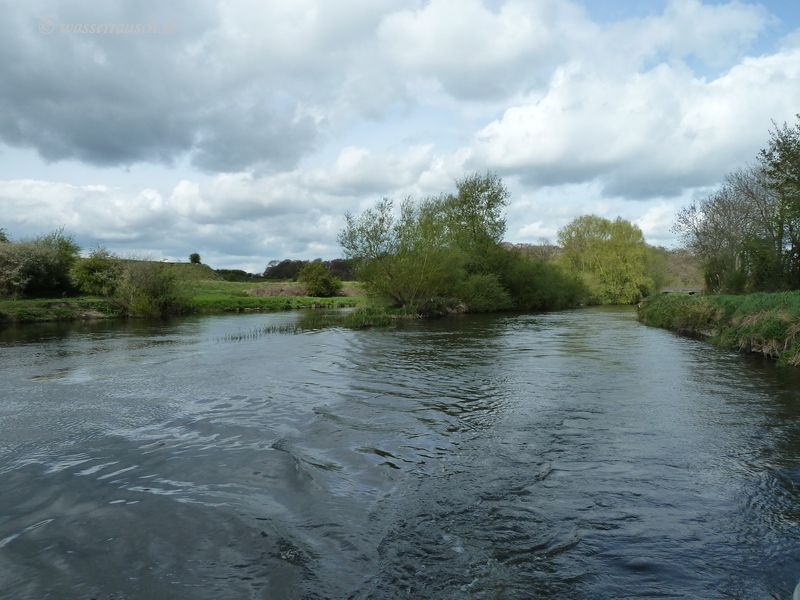 Island below Royal Oak Bridge