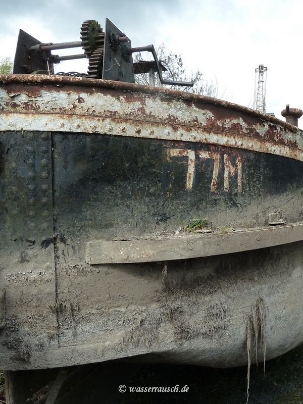 77M