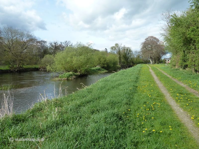 Below Slyguff Lock
