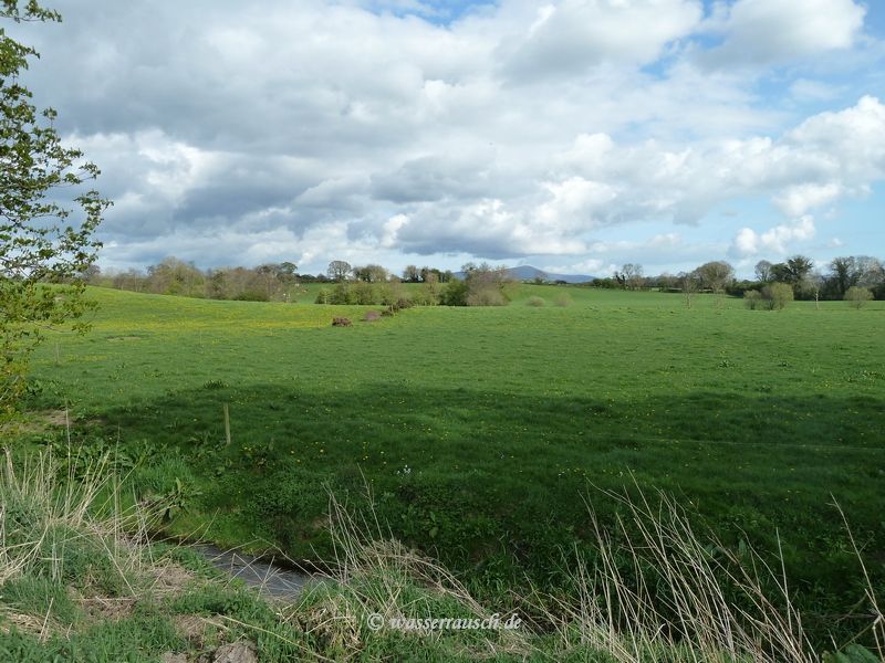 View the east at Slyguff Lock