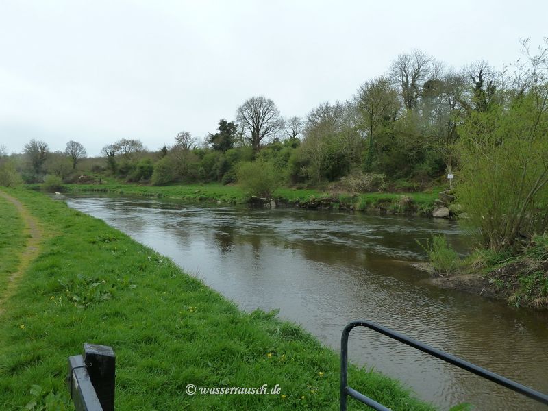 Current below Ballytiglea Lock