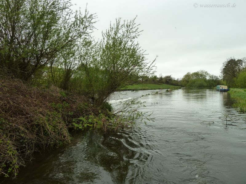 Shallow and narrow entrance Borris cut