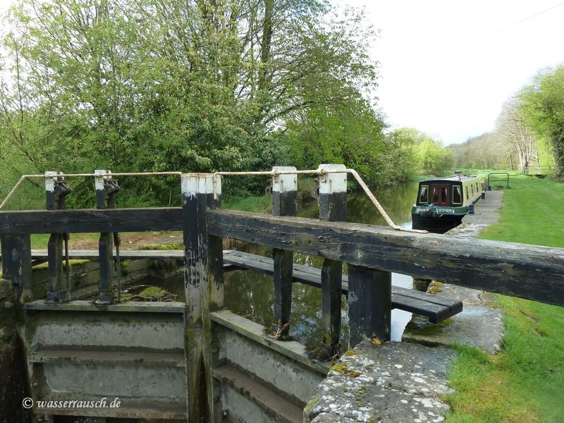 Finnery at Borris Lock