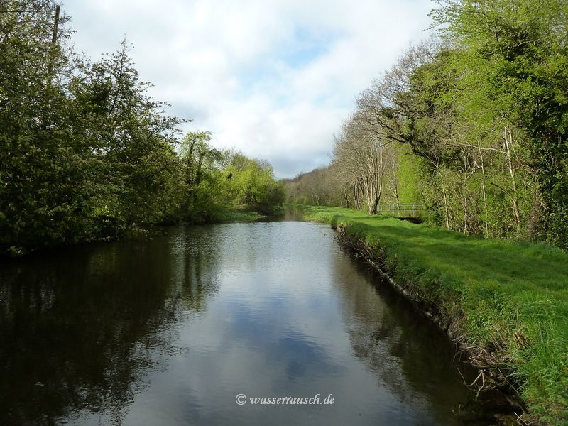 Borris Cut above the lock