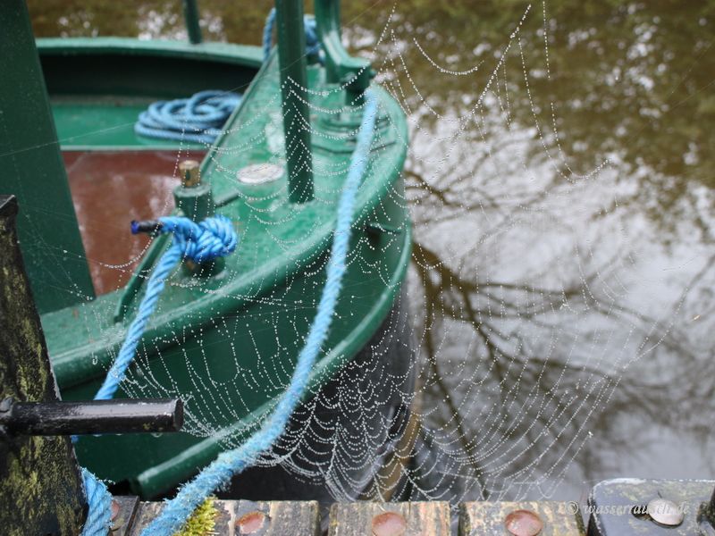 Spider net at the bollard