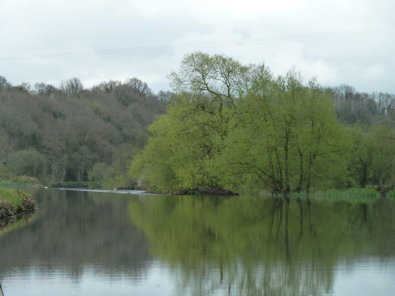 Ballingrane weir