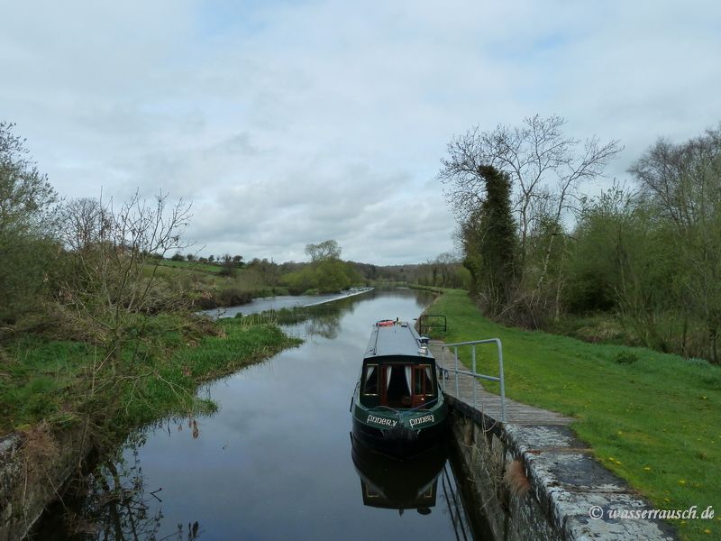 Finnery at Ballingrane weir