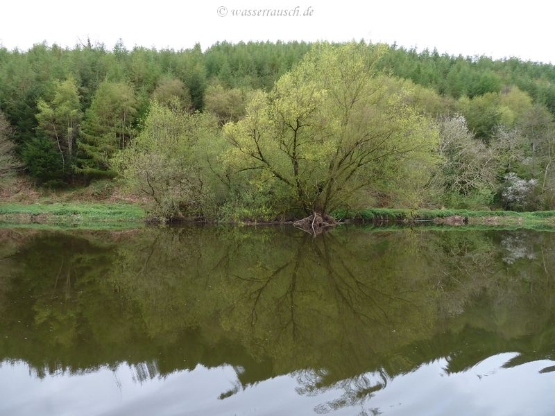 Mirrored bank below Ballingrane Lock