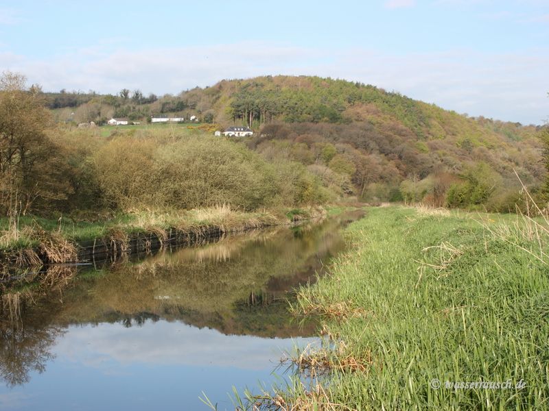 Lower Tinnahinch cut