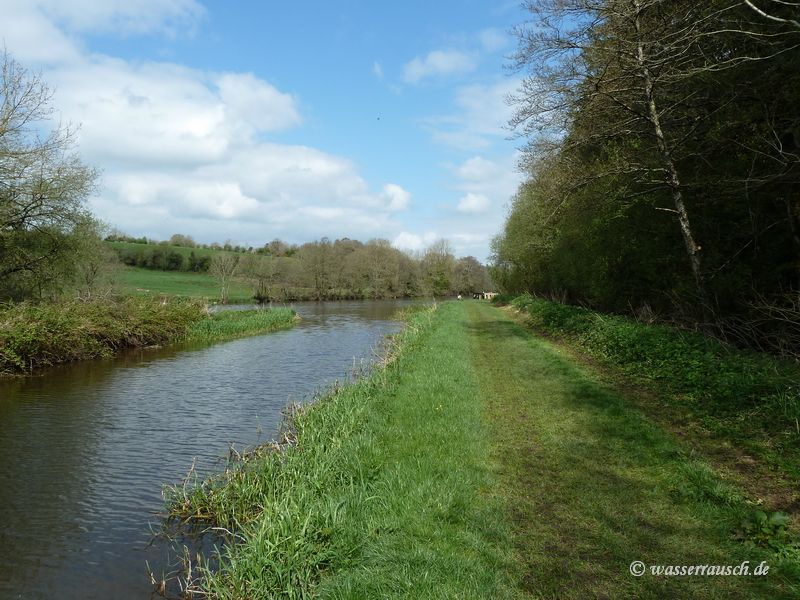 Moored above St. Mullins weir, view from the cut