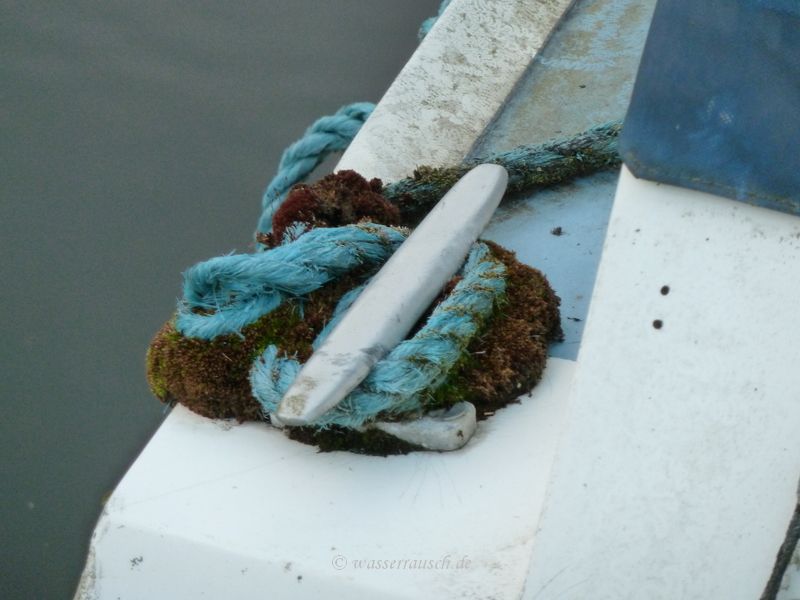 Boat above Finnery, moored above St. Mullins Lock