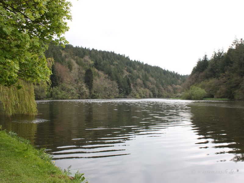 St. Mullins steamer hole
