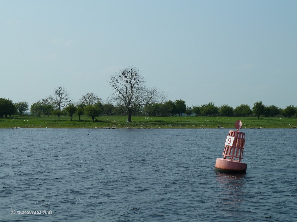 Lough Ree Buoy 9