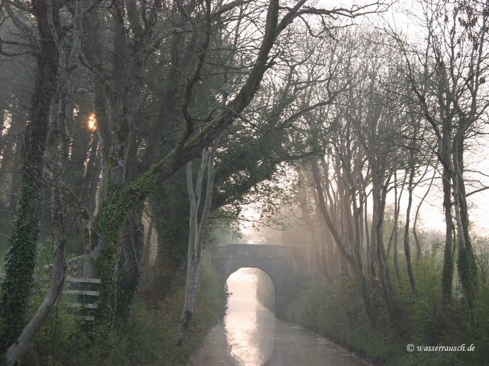 Morning light Clondara Lock