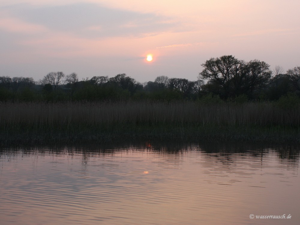 Evening light
