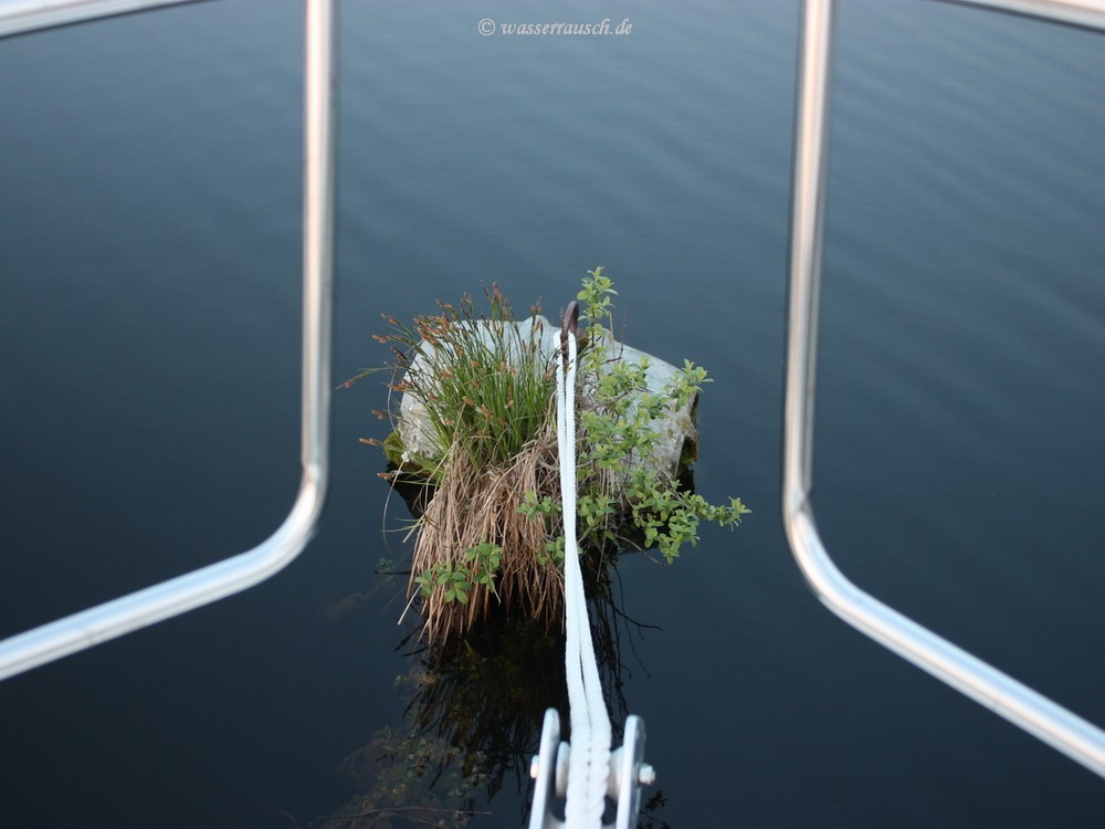 Mooring buoy