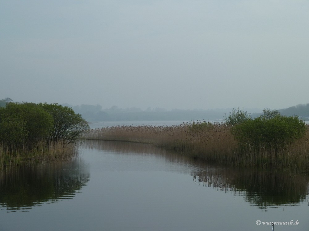 Cut Ballykeeran Lough